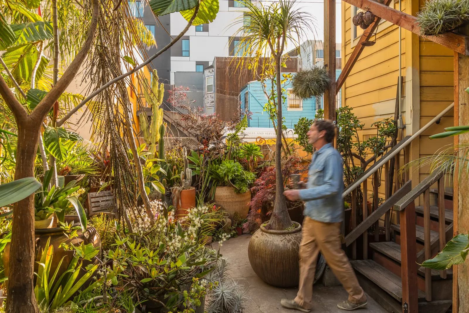 Una persona camina por un jardín exuberante y lleno de vida, con plantas en macetas y árboles, junto a una casa amarilla con escaleras de madera.