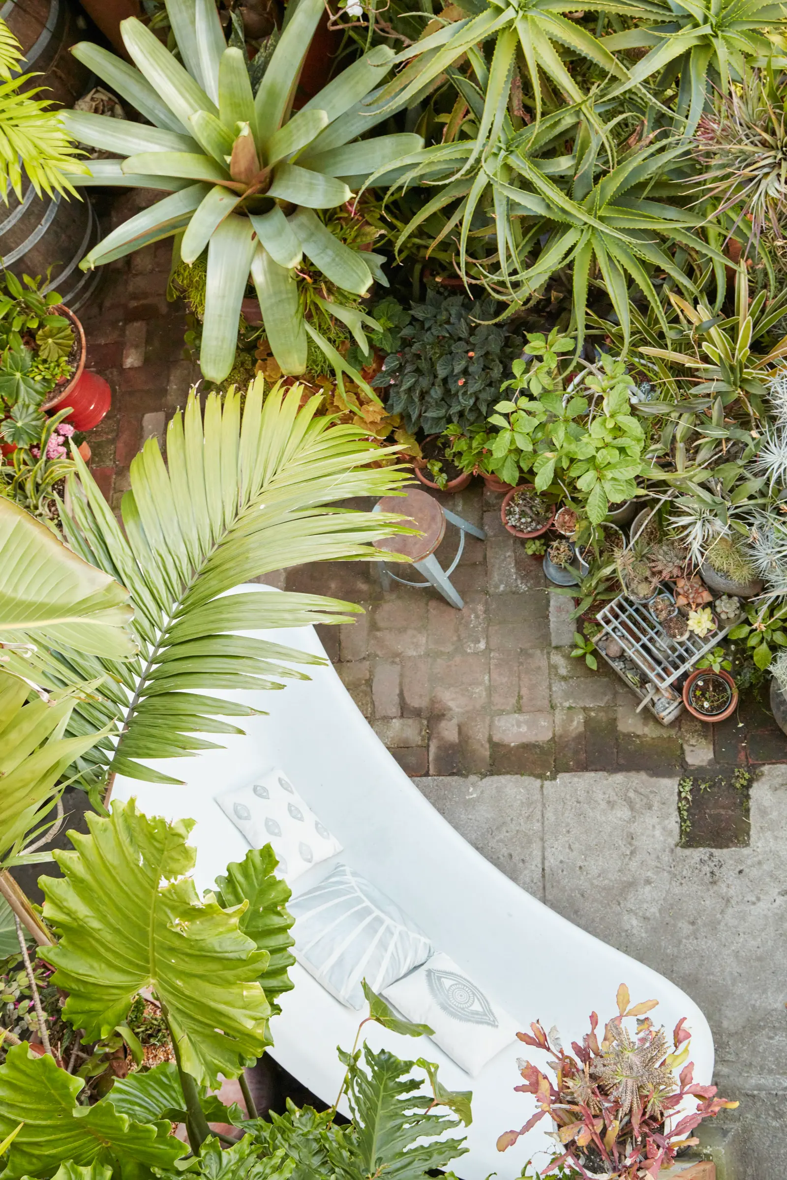 Una banca blanca de exterior con cojines, rodeada de una variedad exuberante de plantas tropicales y suculentas en macetas, en un patio de ladrillo y concreto.