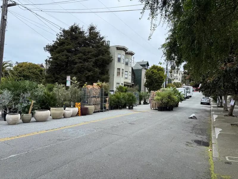 La calle Cole transformada por plantas de Flora Grubb Gardens.