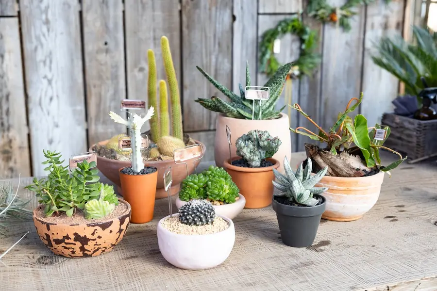 El mercado Handmade Home