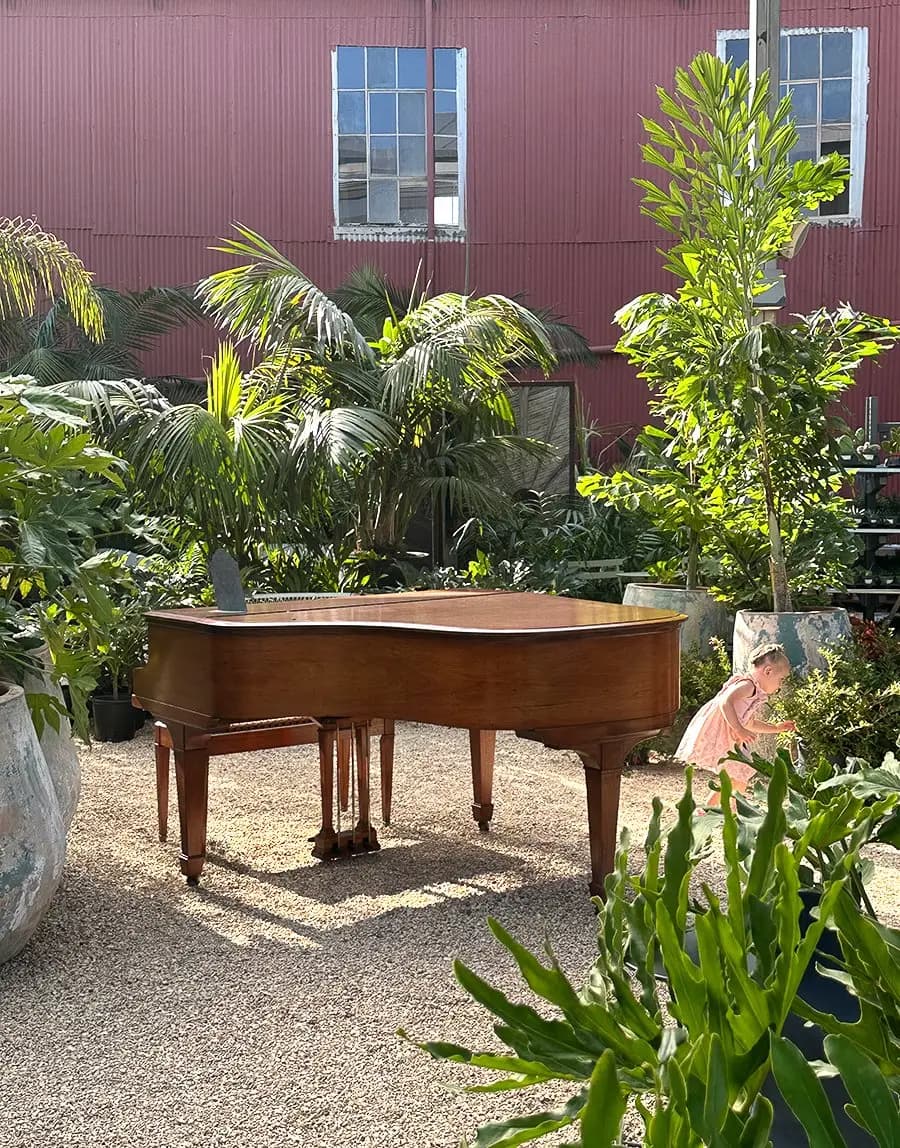 Inauguración de Flora Piano: domingo con Erik Walker