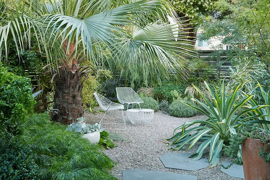 El jardín de la casa de Flora Grubb con grandes palmeras Brahea clara, varias plantas verdes y una zona para sentarse con dos sillas de alambre y una mesita de alambre.