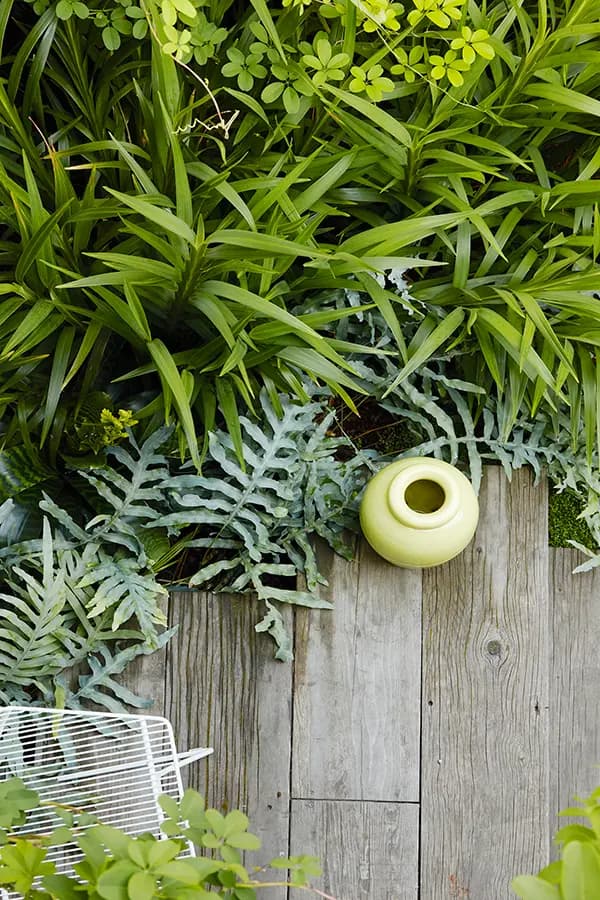 El jardín de la casa de Flora Grubb con una maceta amarilla de cerámica de Bauer sobre una terraza de madera, rodeada de plantas y follaje verde y exuberante.