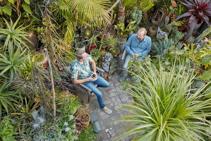 Inspiración del patio-jardín de Clarke de Mornay