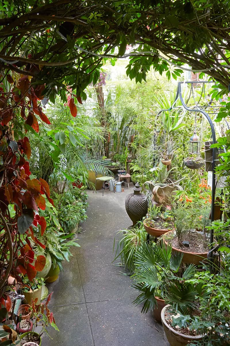 Flora Grubb Gardens: jardín de patio en San Francisco con palmas en maceta y otras plantas tropicales