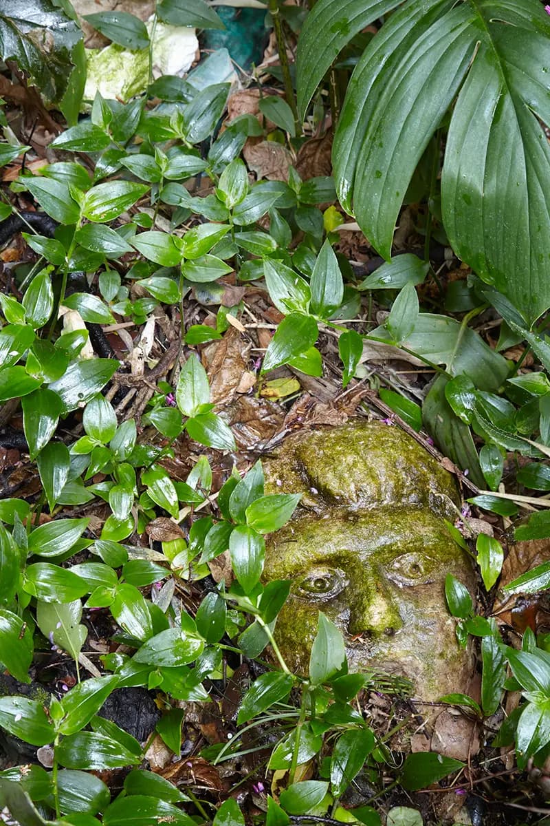 Flora Grubb Gardens: un rostro escondido en el jardín de Jim