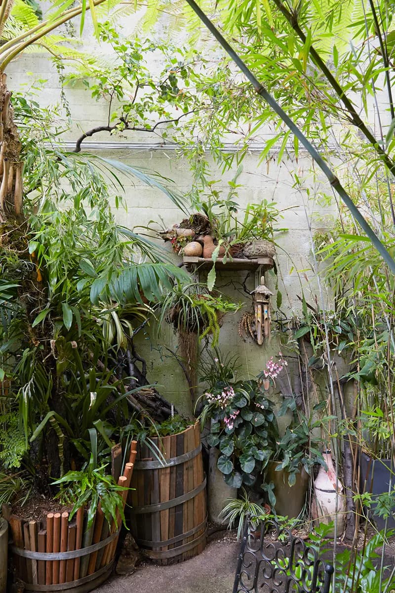 Flora Grubb Gardens: paraíso escondido en South of Market, San Francisco