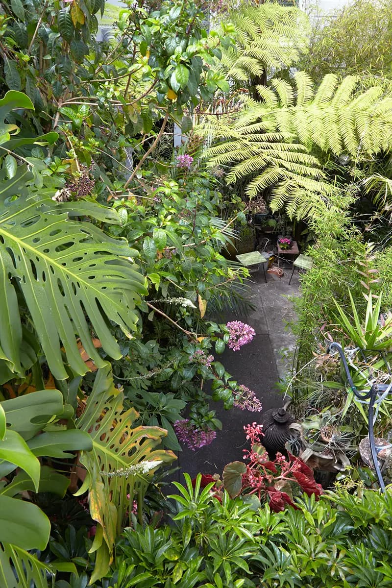 Flora Grubb Gardens: jardín tropical escondido en un barrio de San Francisco
