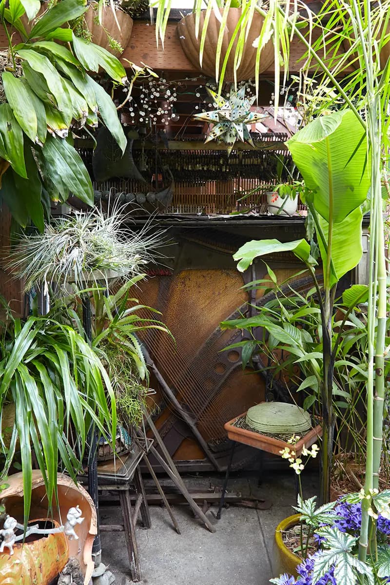 Flora Grubb Gardens: el jardín de Jim con plantas de aire tillandsia junto al bar