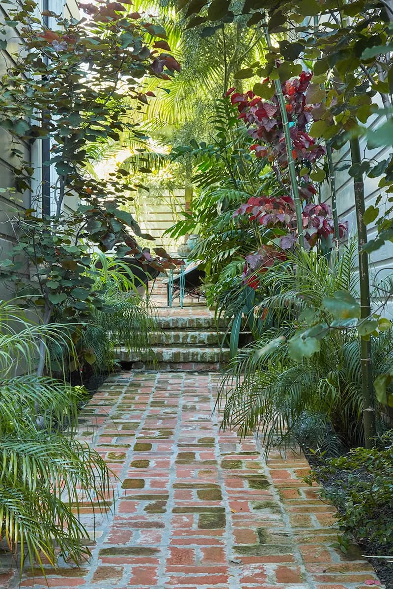 Flora Grubb Gardens: borde de palmas con pygmy date palms Phoenix roebelinii y Cercis Forest Pansy