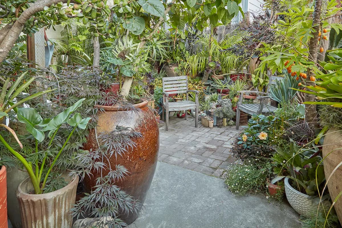 Flora Grubb Gardens: jardín en macetas con palmas en San Francisco