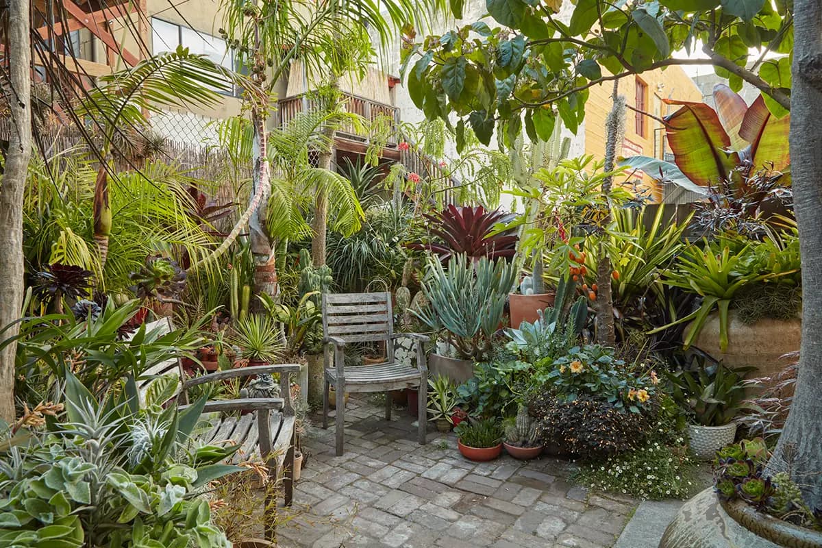 Flora Grubb Gardens: patio con plantas en macetas y Aloe plicatillis