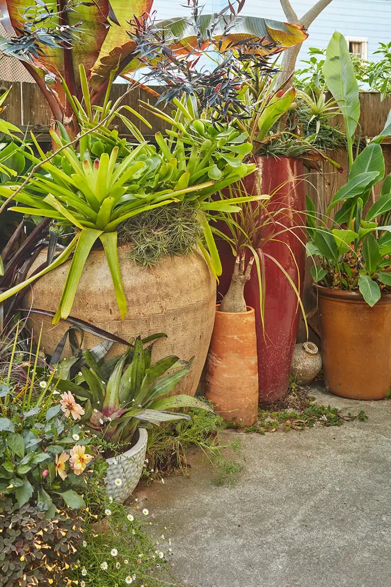 Flora Grubb Gardens: cerámica en tonos cálidos y terrosos en un patio