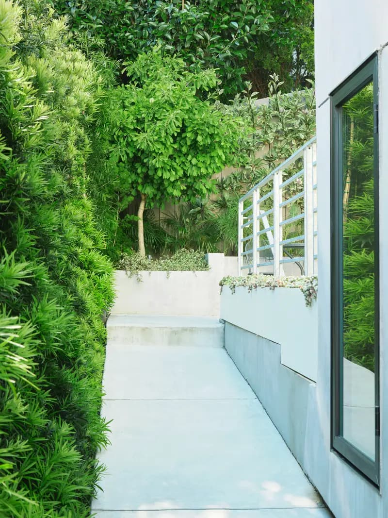 Flora Grubb Gardens: jardín pequeño en patio y terraza con macetas 12