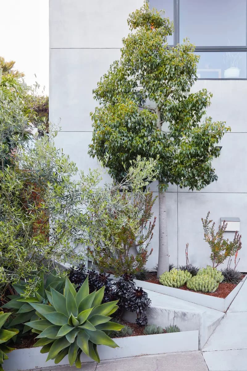 Flora Grubb Gardens: jardín pequeño en patio y terraza con macetas 5