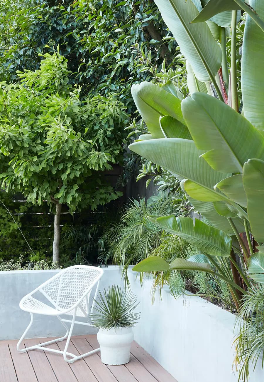 Flora Grubb Gardens, Steal This Look: suave y escultural