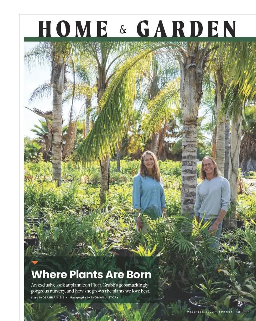 Grubb & Nadler Nurseries son los campos de cultivo mayoristas de Flora Grubb Gardens.