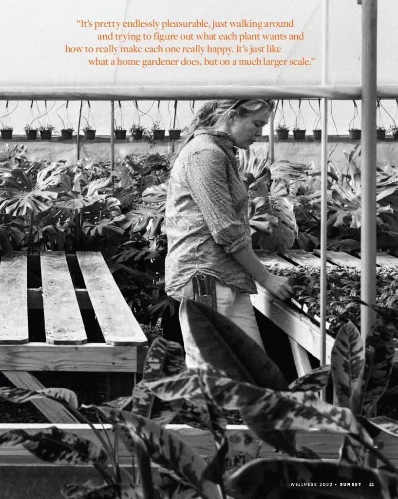 Una mujer trabaja en un invernadero cuidando plantas sobre una mesa de madera, rodeada de plantas grandes y frondosas y macetas colgantes.
