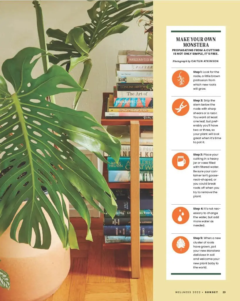 Plantas al mayoreo de Grubb & Nadler en el sur de California, en la revista Sunset