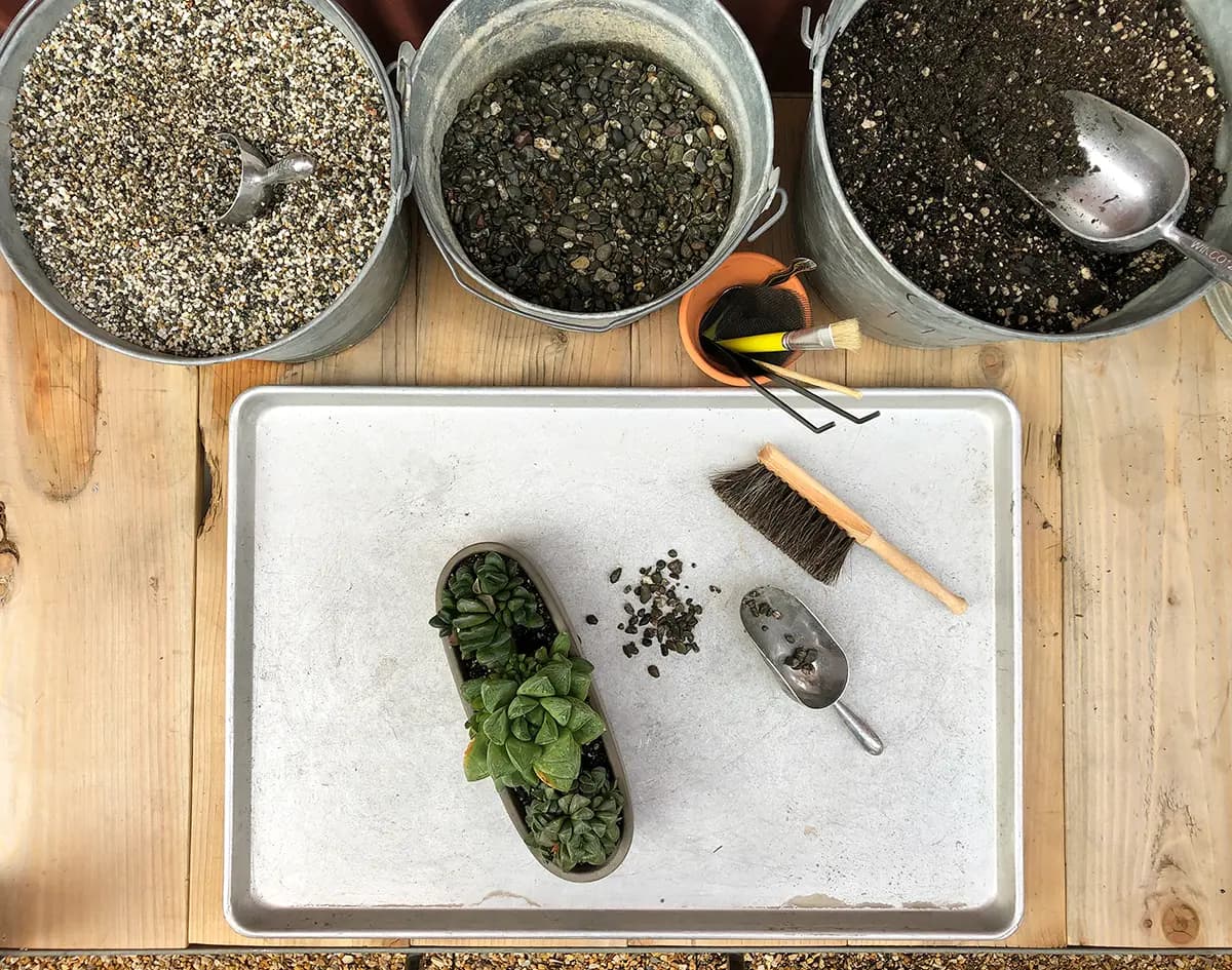 La mesa de trasplante de Flora Grubb Gardens: una mesa de madera con grandes cubetas de tierra y grava, plantas pequeñas, un cepillo y una pala sobre una charola de metal.