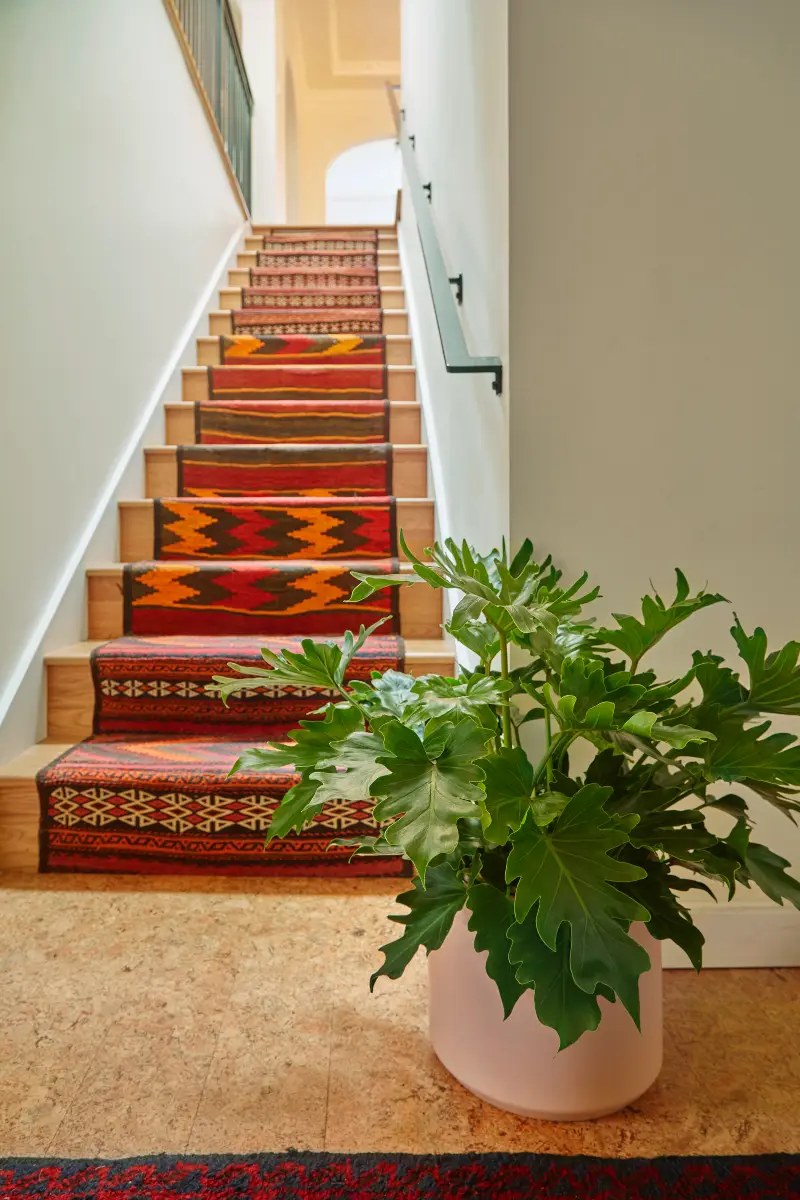 Flora Grubb Gardens, inspiración de plantas de interior 19
