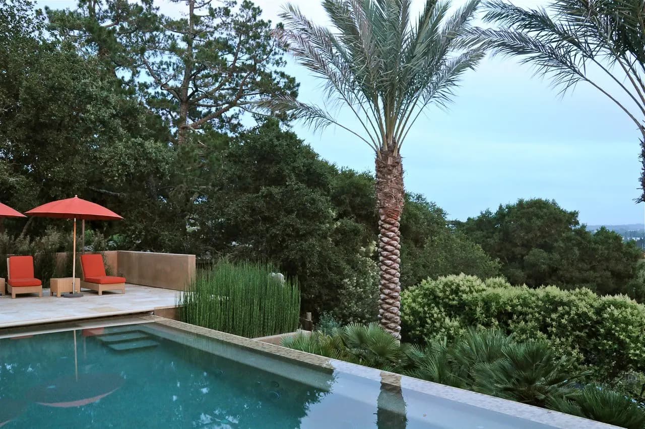 Una alberca de agua azul y cristalina rodeada de árboles verdes y frondosos, plantas en maceta y palmeras altas, con camastros y sombrillas anaranjados en un patio. Jason Dewees para Flora Grubb Gardens.