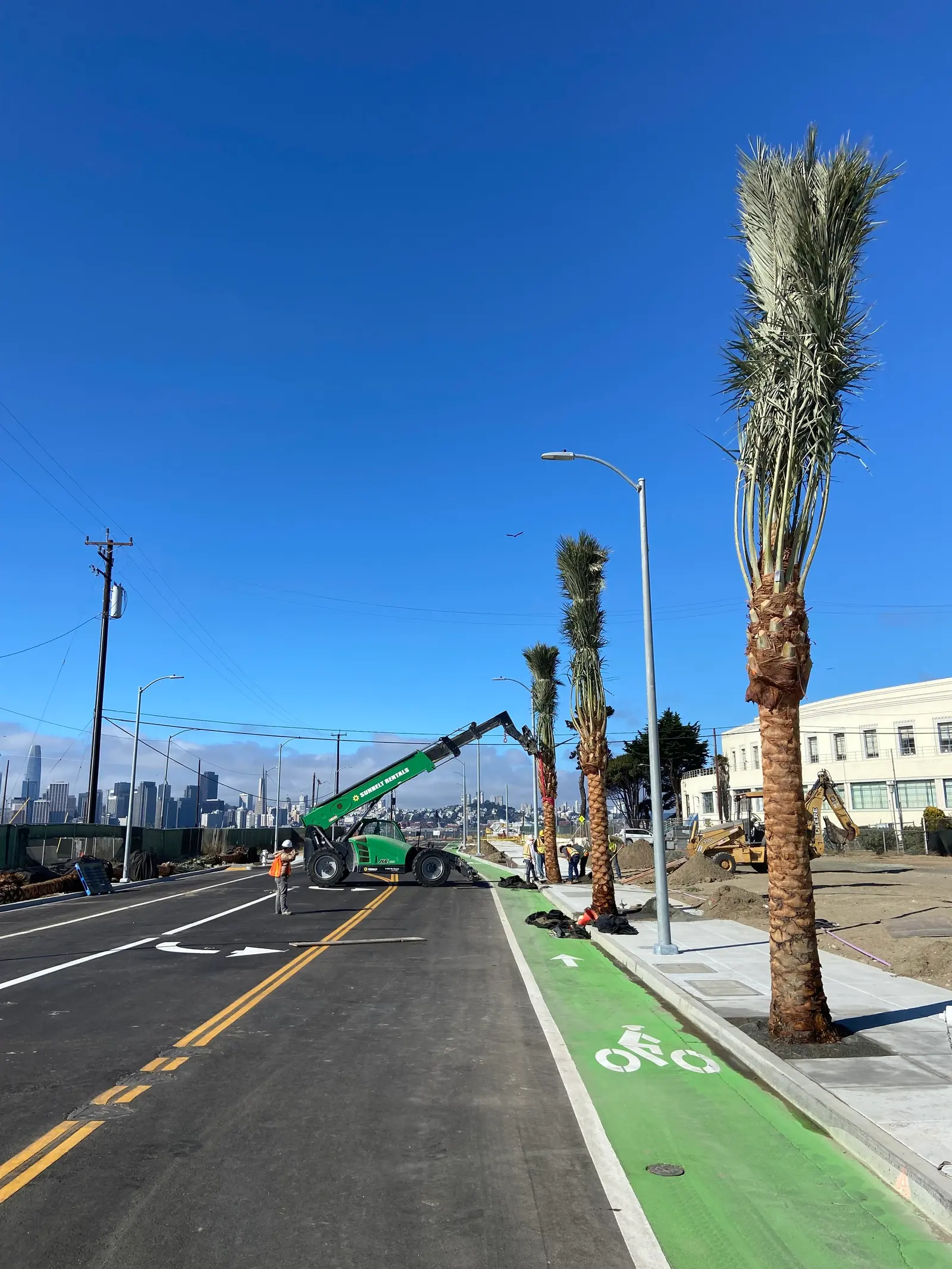 Trabajadores y maquinaria de construcción plantando palmeras nuevas a lo largo de una calle de la ciudad con un carril de bicicletas verde, bajo un cielo azul despejado.