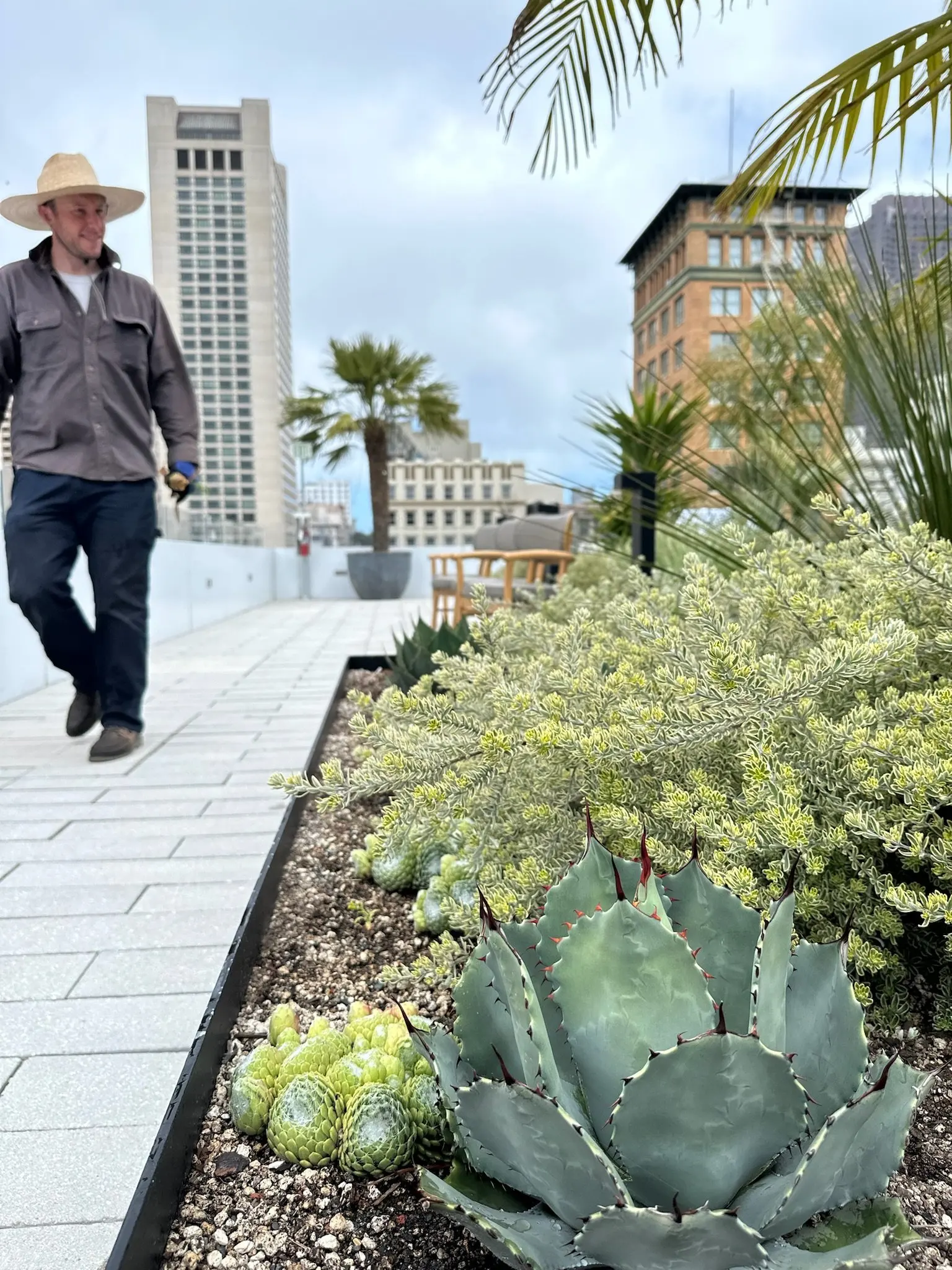 Oliver Keralis en un jardín que diseñó con plantas de Flora Grubb Gardens San Francisco
