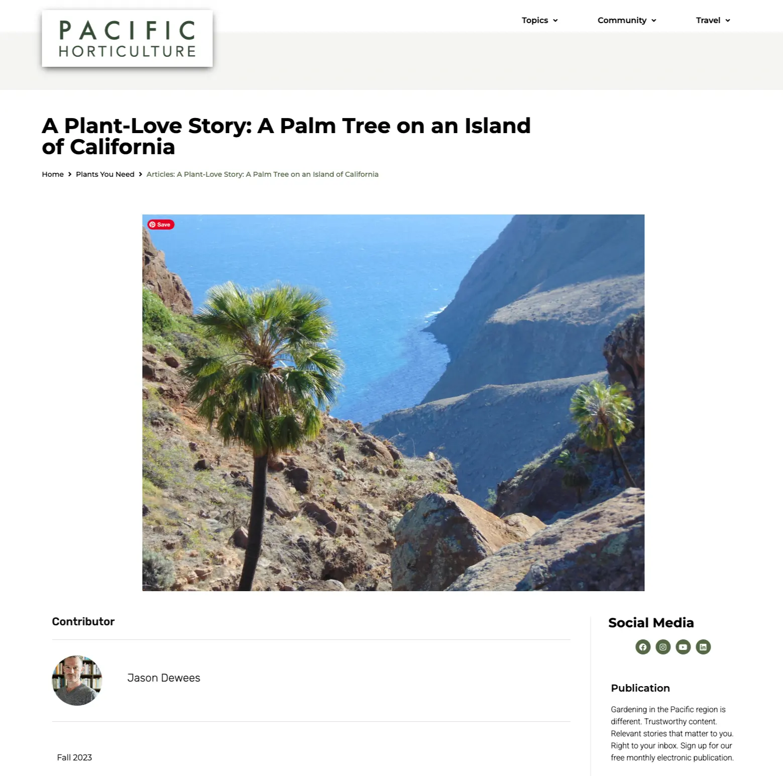 Fotografía de una palmera en una ladera rocosa con vista al mar, con acantilados lejanos y agua azul al fondo.