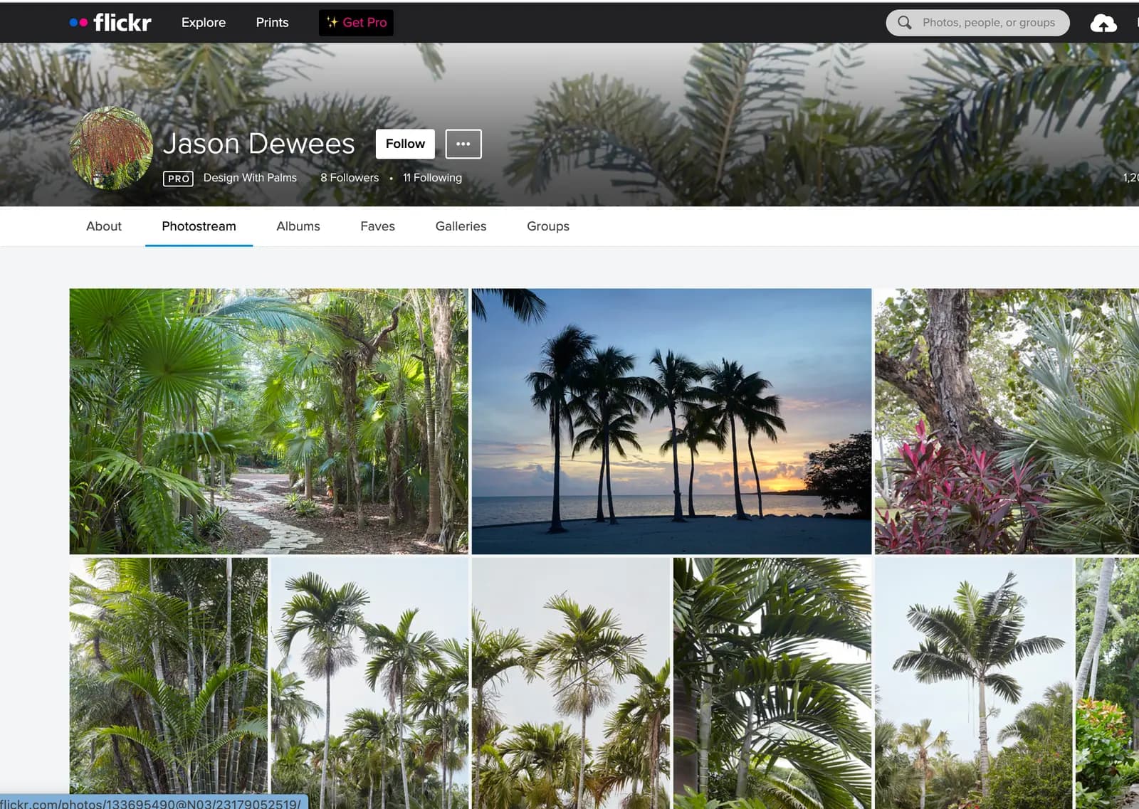 Un collage de paisajes tropicales, con senderos de selva verde y frondosa, siluetas de palmeras al atardecer y diversas plantas y árboles tropicales.