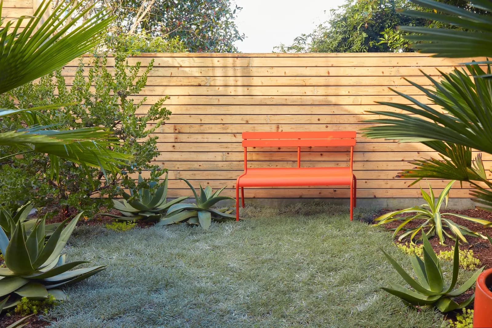 Jardín diseñado por Jason Dewees de Flora Grubb Gardens con una banca de jardín Fermob y Trachycarpus wagnerianus.
