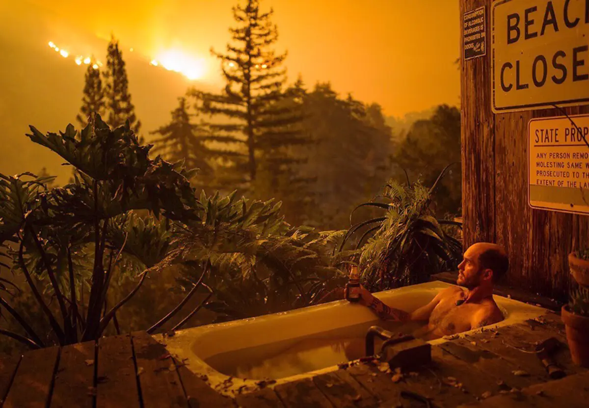 Foto de Kodiak Greenwood