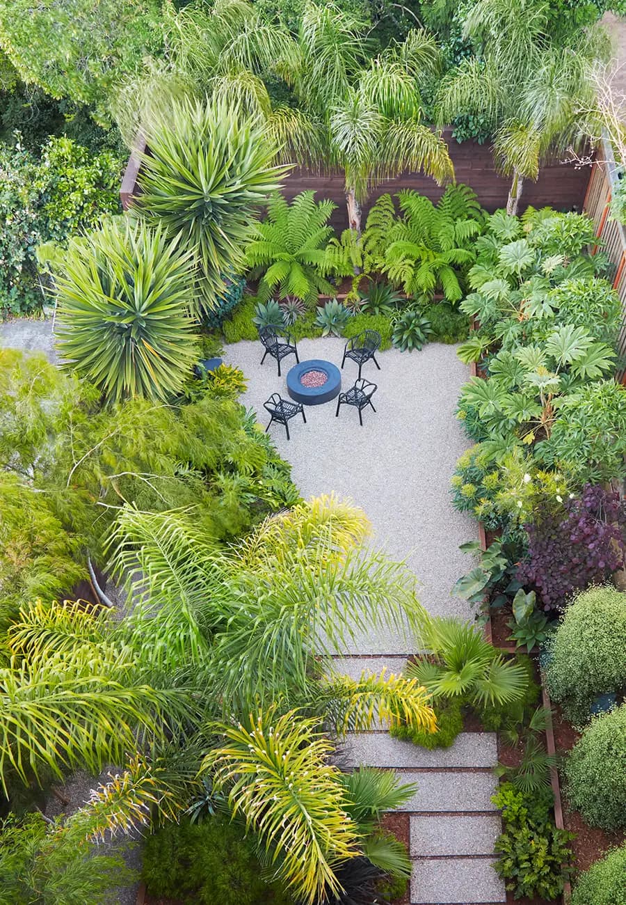 Plantas en la foto, desde la izquierda: queen palm, Acacia cognata, Yucca elephantipes, Dicksonia (helechos grandes)