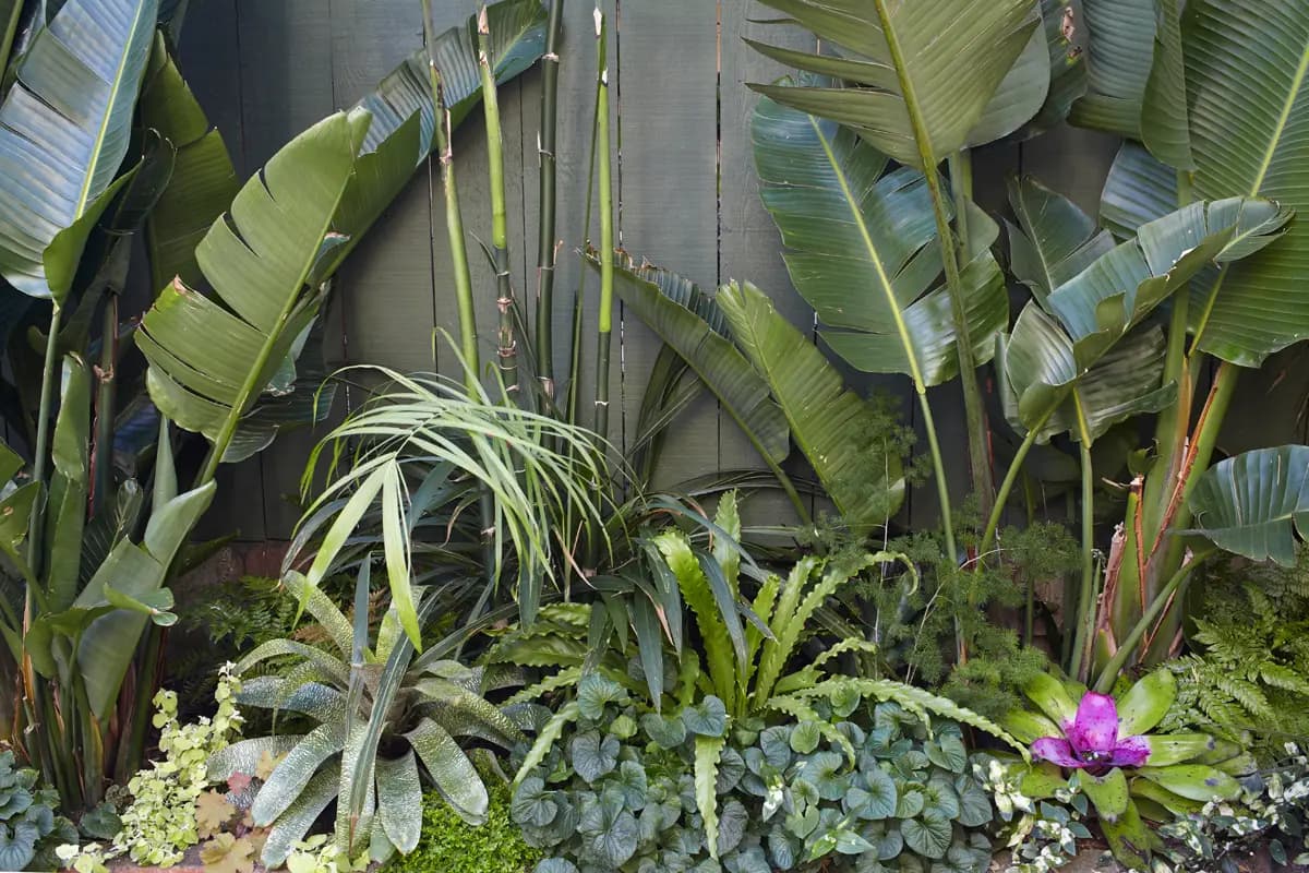 Flora Grubb Gardens: bird of paradise y bromelias en un frondoso jardín del Área de la Bahía