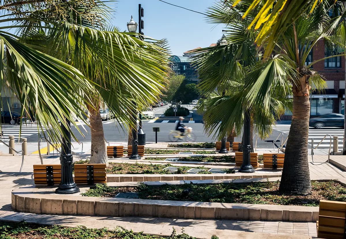 Guadalupe palms en el parklet McCoppin Hub, en el Mission District