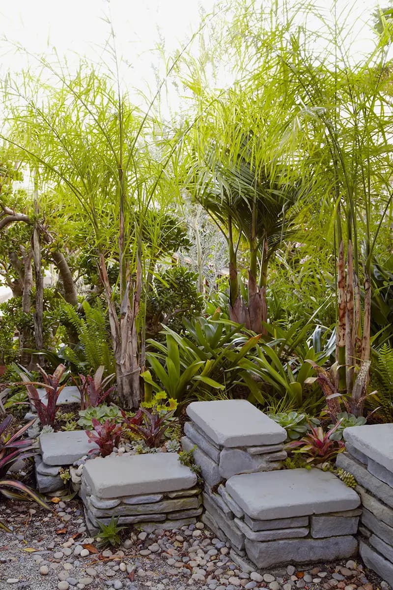 Flora Grubb Gardens: bromelias y queen palms en un frondoso jardín urbano del Área de la Bahía