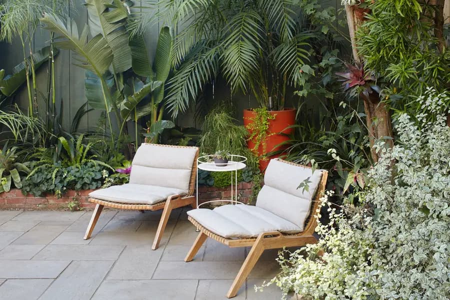 Convierta su jardín en un oasis de ensueño: plantas con vibra tropical