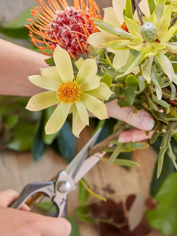 Flora Grubb Gardens: plantas para flor de corte