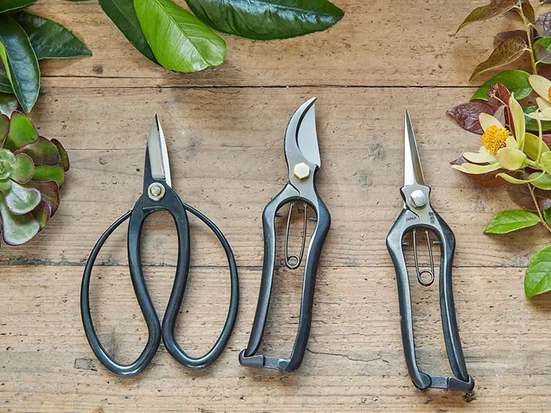 Flora Grubb Gardens: herramientas de jardinería para cortar flores