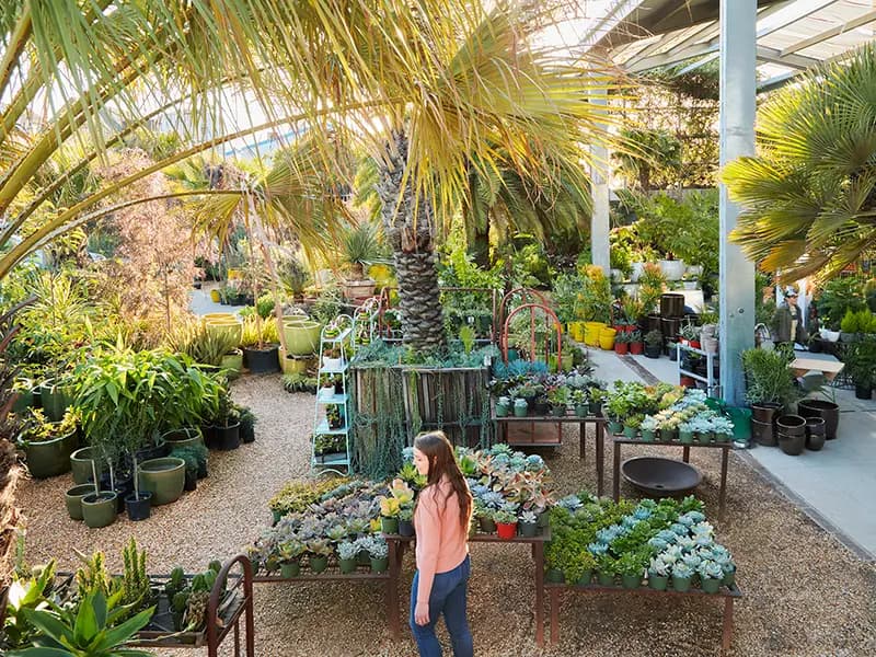 Flora Grubb Gardens: salga a su jardín en mayo