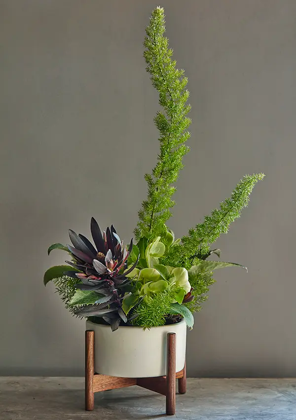 Flora Grubb Gardens: arreglo ikebana con flores de corte