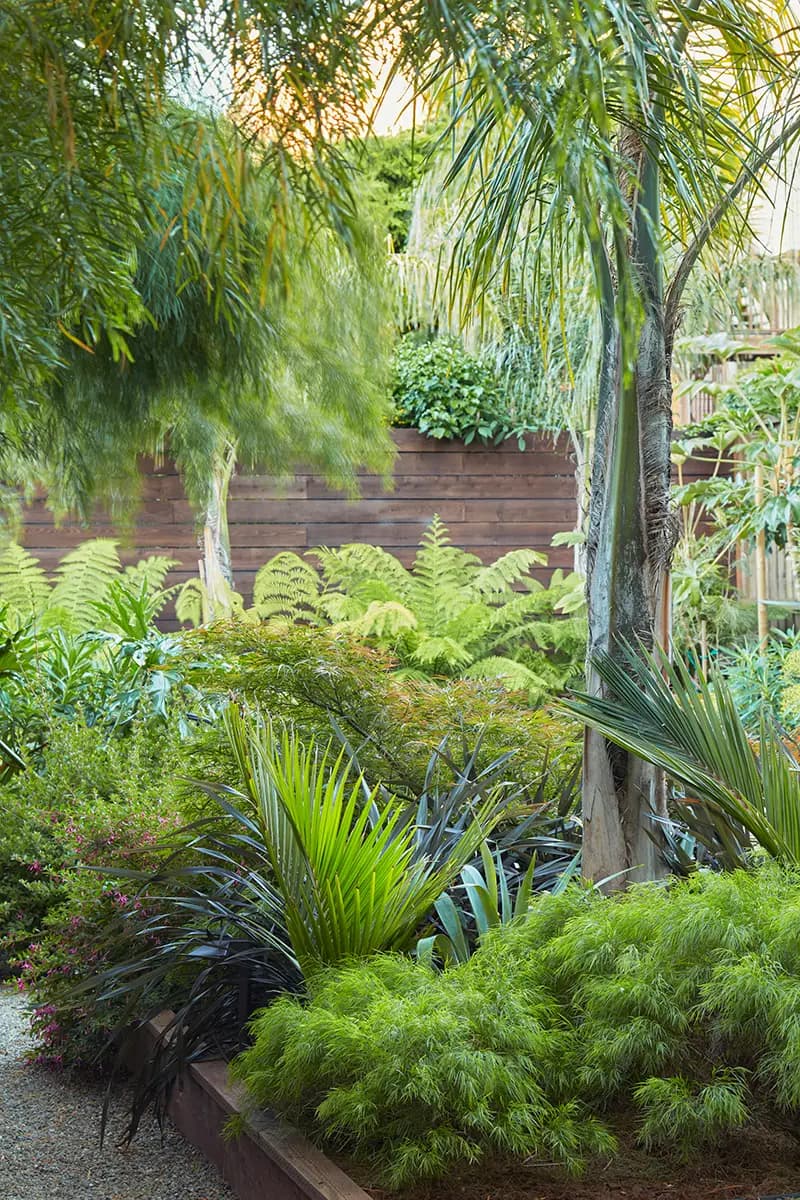 Flora Grubb Gardens: palmas y otras plantas de estilo tropical en un diseño de paisaje en San Francisco