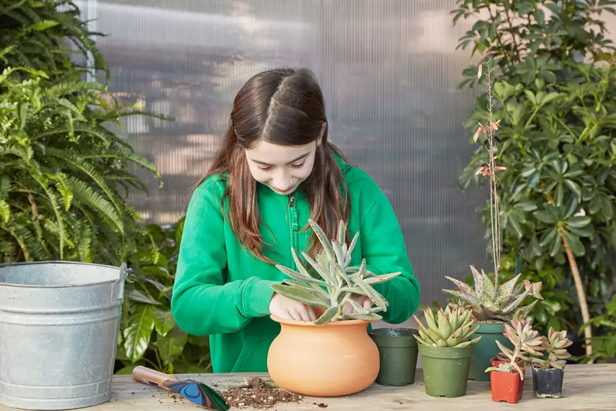 Make Something Beautiful at Our Potting Bench