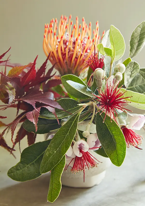 Flora Grubb Gardens: proteas de corte para mamá