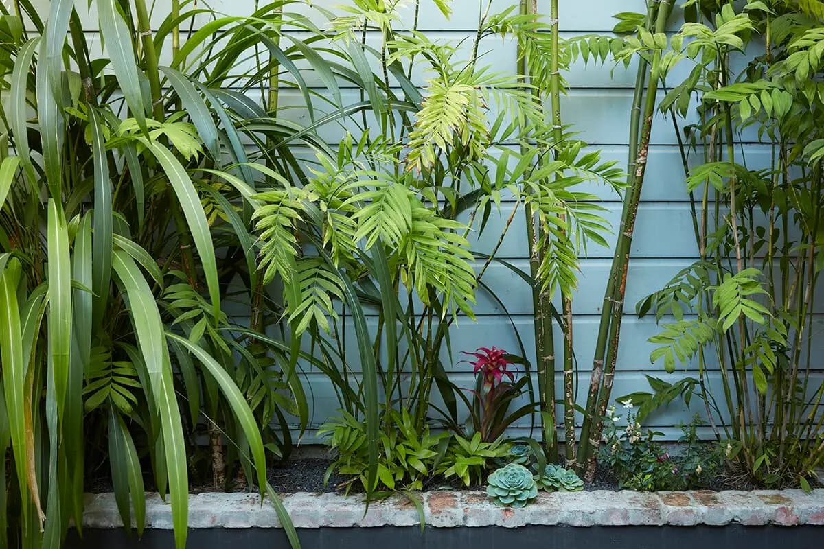Flora Grubb Gardens: jardín de palmas y suculentas en San Francisco, de Christopher Reynolds