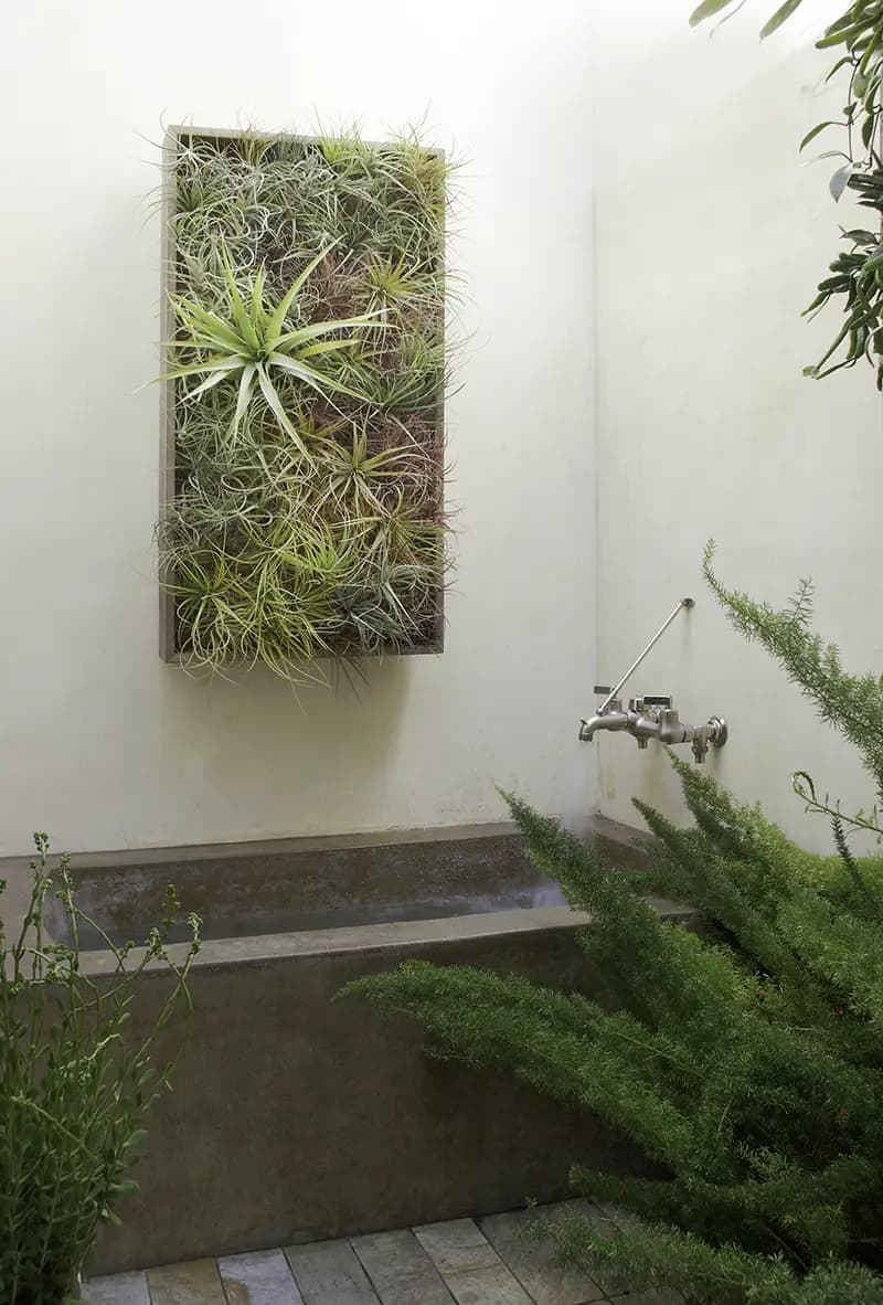 Flora Grubb Gardens: cuadro de tillandsias sobre una tina al aire libre