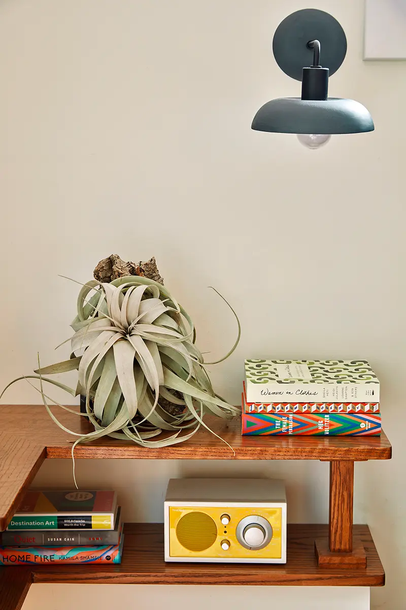Flora Grubb Gardens: tillandsia para colgar en la pared para San Valentín