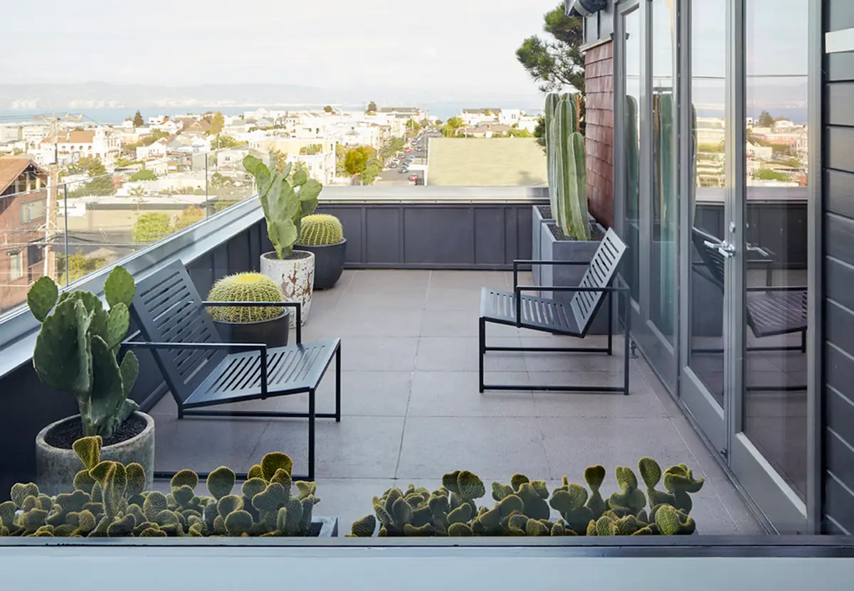 ¡Happy hour de cactus en la azotea! Golden barrel cactus (en las macetas negras redondas) con varias especies de Opuntia y cactus columnares disfrutando la vista de SF.