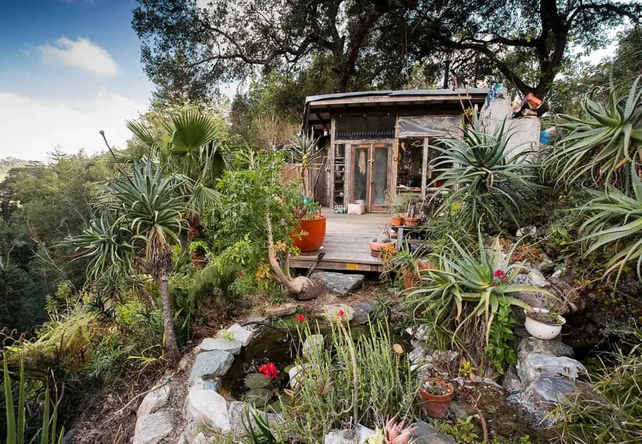 Aloes en California: un manifiesto de Tyson Curtis