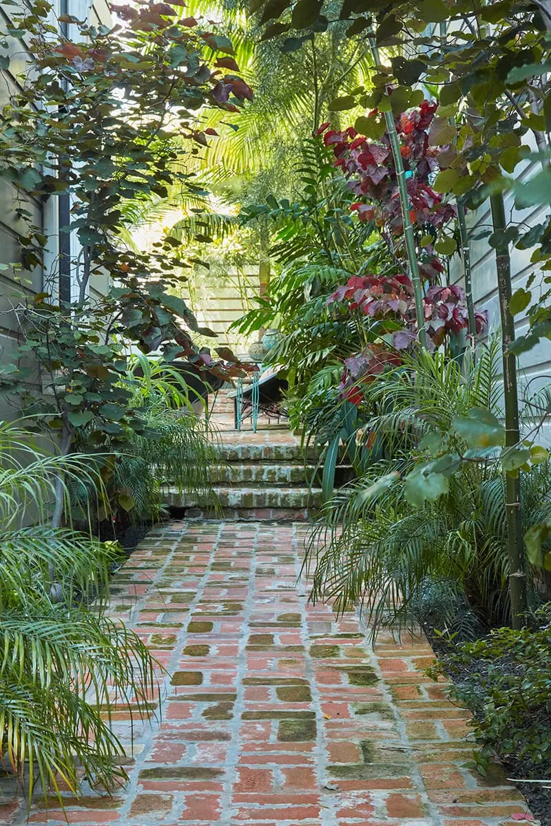 Phoenix roebelenii (the low, feathery palms) and Chamaedorea plumosa (tall slim trunks) in an entry garden border in SF, designed by Christopher Reynolds